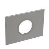 Italian / US standard plate Arteor round version 2 modules - magnesium