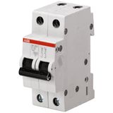 SH202-C2 Miniature Circuit Breaker - 2P - C - 2 A