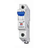 Miniature Circuit Breaker (MCB) B, 16A, 1-pole, 10kA, VDE