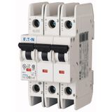 Miniature circuit breaker (MCB), 40 A, 3p, characteristic: C