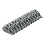 1-conductor female connector CAGE CLAMP® 2.5 mm² gray