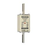 Fuse-link NH2 gG 500VAC 63A live tags Double indicator