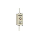 Fuse-link NH0 gG 500VAC 100A live tags Double indicator