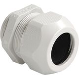 Cable gland Syntec synthetic Pg11 grey cable Ø2.0-7.0mm (UL 7.0-7.0mm)