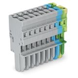 1-conductor female connector CAGE CLAMP® 4 mm² gray/blue/green-yellow