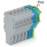 1-conductor female connector Push-in CAGE CLAMP® 4 mm² gray/blue/green