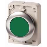 Pushbutton, RMQ-Titan, flat, momentary, green, blank, Front ring stainless steel