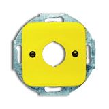2533-214-15 CoverPlates (partly incl. Insert) carat® yellow