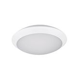 START SURFACE IP66 1450LM 830 EM3 IK10 WHT