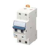 MINIATURE CIRCUIT BREAKER - MT 250- 2P CHARACTERISTIC C 63A - 2 MODULES