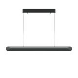 Modern Motion Pendant lamp Black