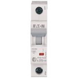 HN-B16/1 Eaton Moeller series xPole Home - HN/HN-HX MCB