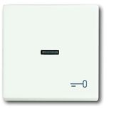 1789 TR-884 CoverPlates (partly incl. Insert) future®, Busch-axcent®, carat® studio white matt