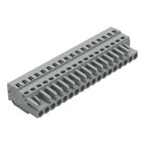 1-conductor female connector CAGE CLAMP® 2.5 mm² gray