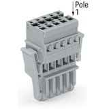 1-conductor female connector CAGE CLAMP® 4 mm² gray