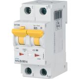 RCD/MCB combination, 25 A, 100 mA, MCB trip characteristic: B, 2p, RCD trip characteristic: A