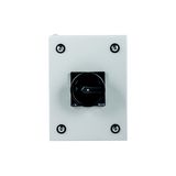 Main switch, T0, 20 A, surface mounting, 2 contact unit(s), 3 pole, STOP function, With black rotary handle and locking ring, Lockable in the 0 (Off)