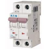 Miniature circuit breaker (MCB), 32 A, 2p, characteristic: B