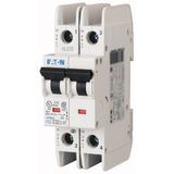 Miniature circuit breaker (MCB), 30 A, 2p, characteristic: B