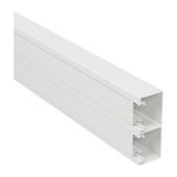 Trunking 45 130x50 2M