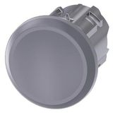 Sealing plug for unused command points, silver