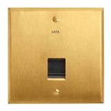 Art d'Arnould universe Memory socket RJ45 category 6 FTP - brushed gold