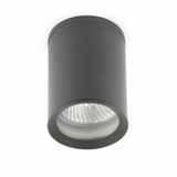 TASA DARK GREY CEILING LAMP 1 X PAR30 75W