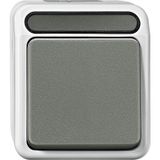 Button with N terminal, 1-pole changeover, light gray, AQUASTAR