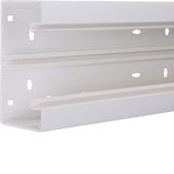 Trunking base BR 68x130 traffic white