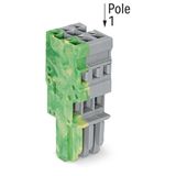 1-conductor female connector CAGE CLAMP® 4 mm² gray, green-yellow