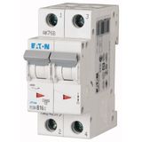 Miniature circuit breaker (MCB), 16 A, 2p, characteristic: C