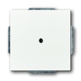 1749-84-500 CoverPlates (partly incl. Insert) future®, Busch-axcent®, solo®; carat® Studio white
