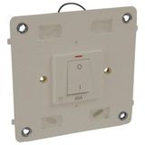 Arteor™ - Double pole switch - with neon - 40 A 250 V~ - 4''x4'' - Champagne