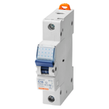 MINIATURE CIRCUIT BREAKER - MT 60- 1P CHARACTERISTIC C 2A - 1 MODULE