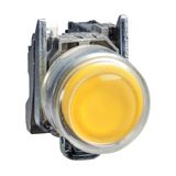 ATEX ILLUMINATED PUSHBUTTON