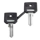 Harmony XB4, Set of 2 keys, Ronis 455