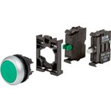 Illuminated pushbutton actuator, RMQ-Titan, flush, momentary, 1 NO, green, Blister pack for hanging