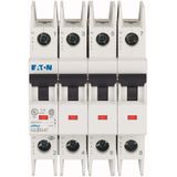 Miniature circuit breaker (MCB), 1 A, 4p, characteristic: D, ring tongue