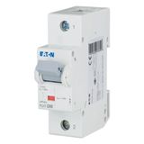 Miniature circuit breaker (MCB), 80A, 1p, D-Char, AC