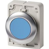 Pushbutton, RMQ-Titan, flat, maintained, Blue, blank, Front ring stainless steel