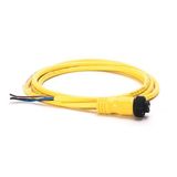 Allen-Bradley, 889N-F4AEC-12F, Mini/Mini Plus, Female, Straight, 4-Pin, PVC Cable, Yellow, Unshielded, US Color Coded, No Connector, 12 feet (3.66 meters)