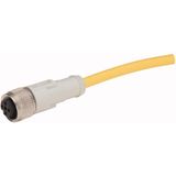 Connection cable, 4p/3Ltg, DC current, coupling M12 flat, open end, L=5m