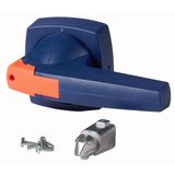 Toggle, 10mm, door installation, blue, padlock