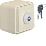 Key switch f.blinds impr. surf.-mtd,isolated input ,lock-differing loc