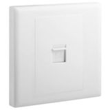 Eloe - RJ45 socket category 5 UTP - White