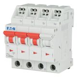 Miniature circuit breaker (MCB) with plug-in terminal, 10 A, 3p+N, characteristic: B