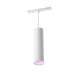 Hue Perifo cylinder pendant W