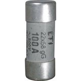 Fuse link, CH22x58/P aM 125A/690V