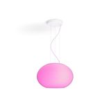 Flourish Hue pendant EU/UK white 31W 24V