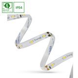 LED STRIP 2835 12V 60LED 4,8W/m 336lm/m WW 8mm IP54 5YR 5m roll